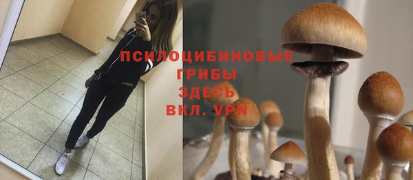 твердый Дмитриев