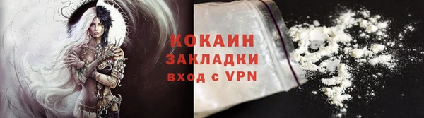 твердый Дмитриев