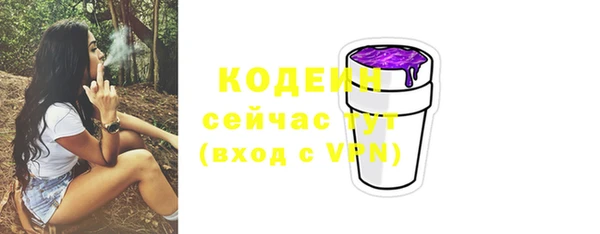 гидропоника Елабуга
