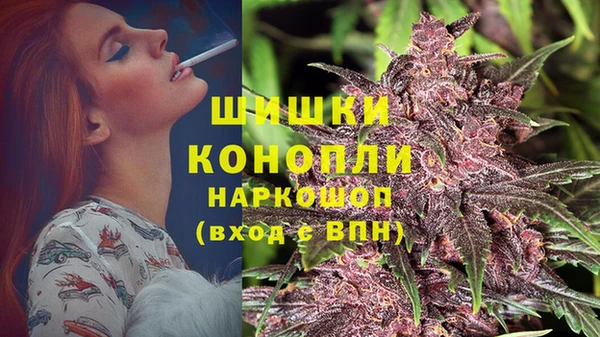 крисы Елизово