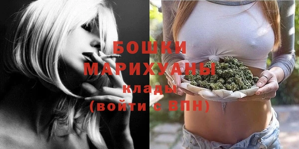 ешки Ельня
