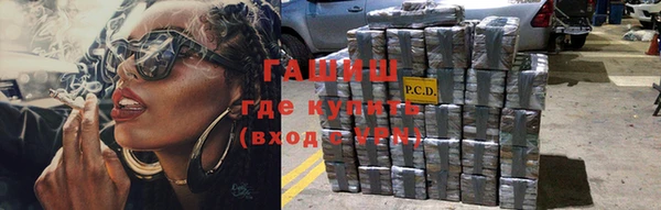 крисы Елизово