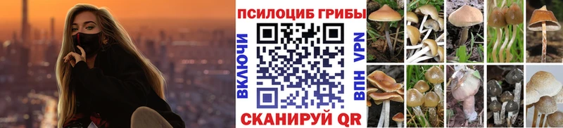 Галлюциногенные грибы GOLDEN TEACHER  мега онион  Грязовец 